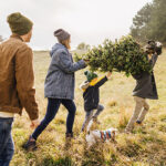 Gezin tilt samen een kerstboom