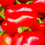 Paprika's