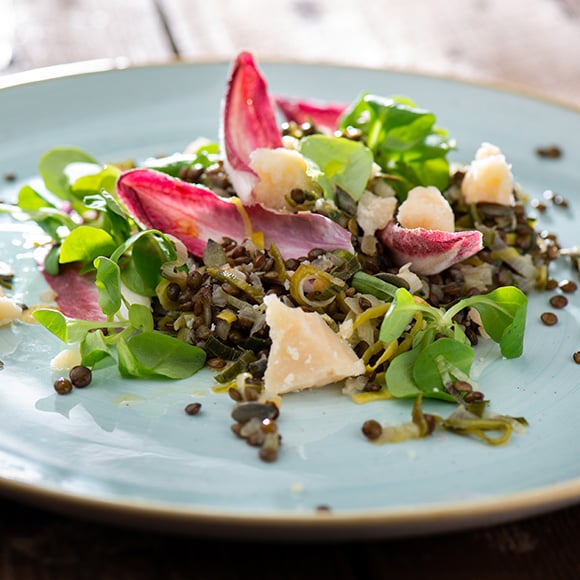 Linzensalade met roodlof, veldsla en oude kaas