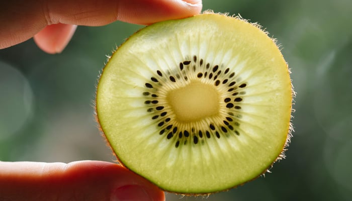 Schijfje kiwi tussen duim en wijsvinger opgehouden