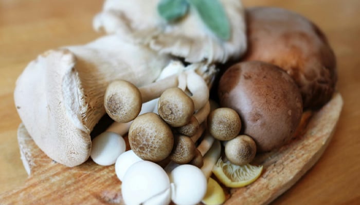 Snijplank met diverse soorten paddenstoelen