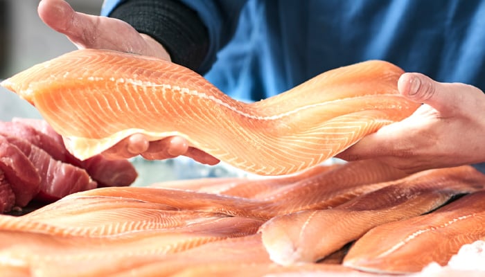Handen met stuk gefileerde zalm